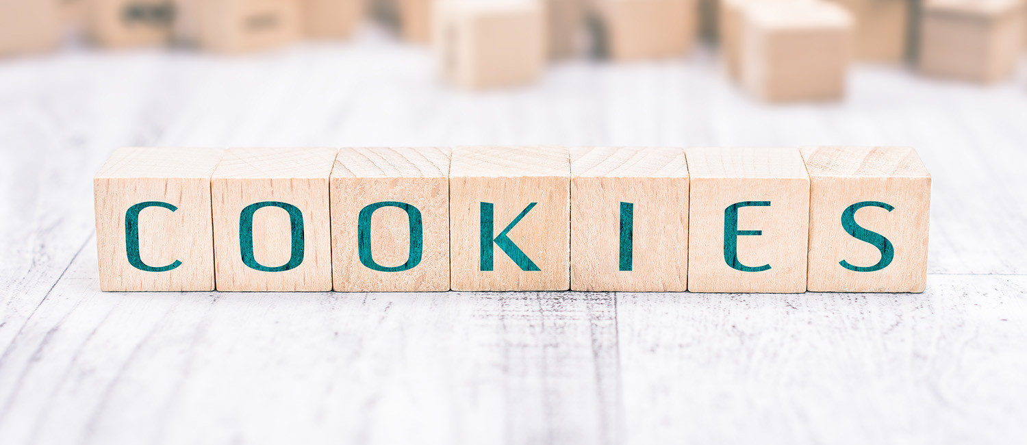 Website Cookie Policy For The Plaza At North Beach Corpus Christi